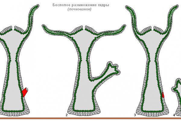 Кракен перестал работать
