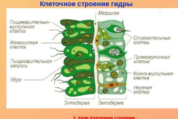 Кракен сайт зеркало рабочее