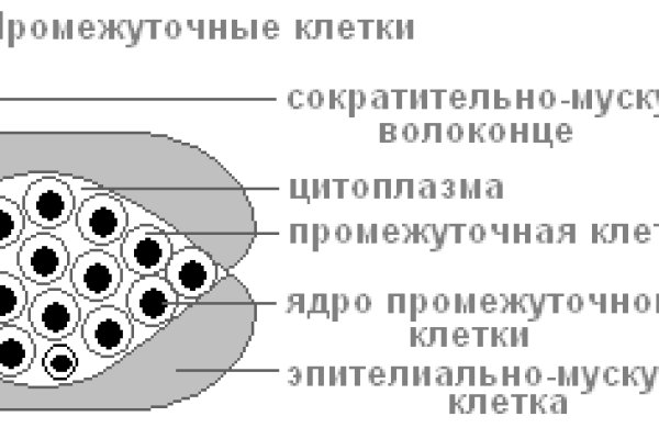 Кракен через браузер