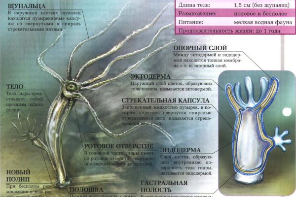 Кракен нарк