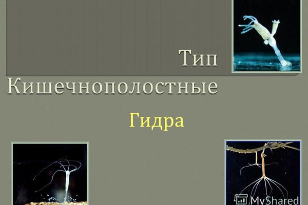 Кракен маркетплейс в москве