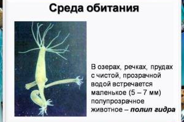 Купить наркотики в москве