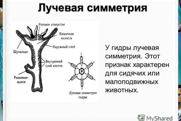 Kraken clear ссылка