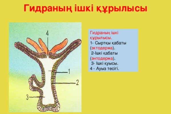 Кракен маркетплейс работает